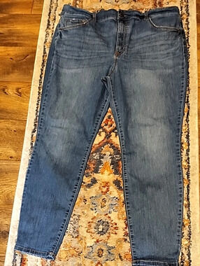 terra sky Skinny Jeans in Blue Waist 20W